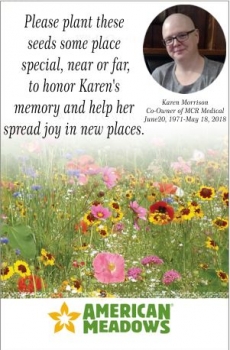 Karen's Wild Flower Seed Mix